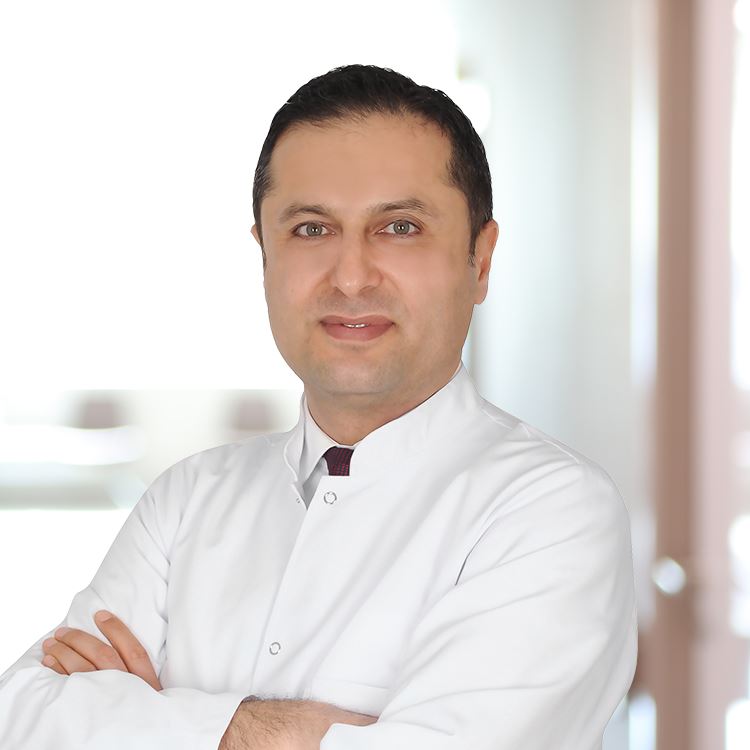 Prof. Koray